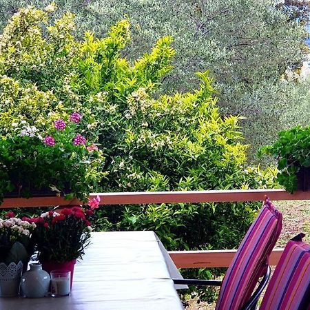 Apartman Rabatin Sveti Filip i Jakov Esterno foto