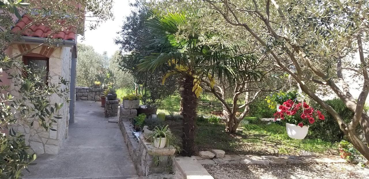 Apartman Rabatin Sveti Filip i Jakov Esterno foto