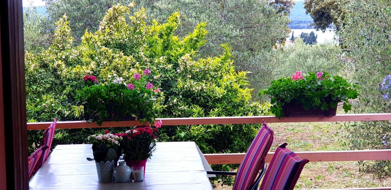 Apartman Rabatin Sveti Filip i Jakov Esterno foto